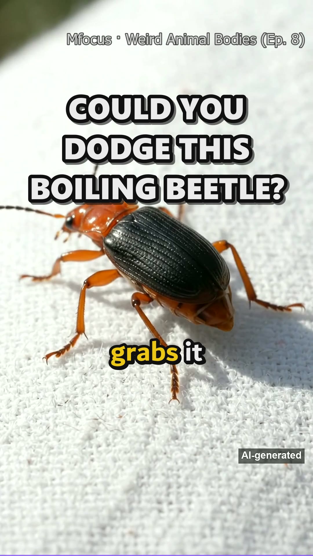 How Does the Bombardier Beetle Fire Boiling Liquid?
